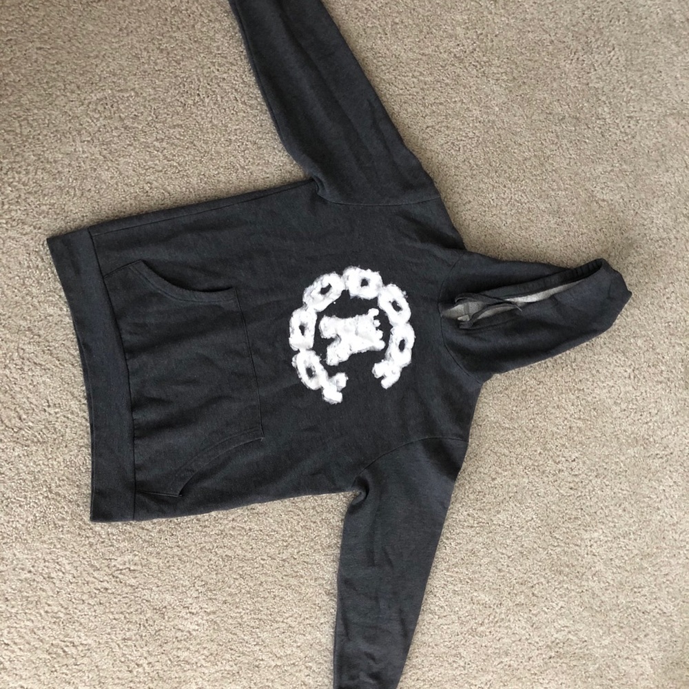 Crooks and castles hoodie
